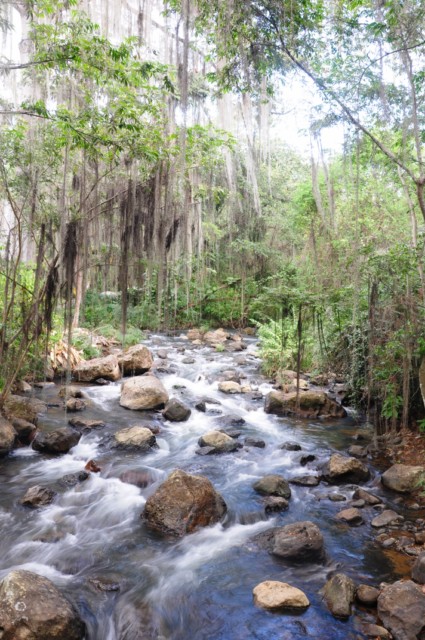 vacancesnoel1 218 [640x480]