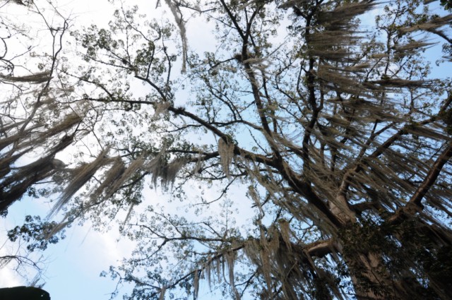 vacancesnoel1 233 [640x480]