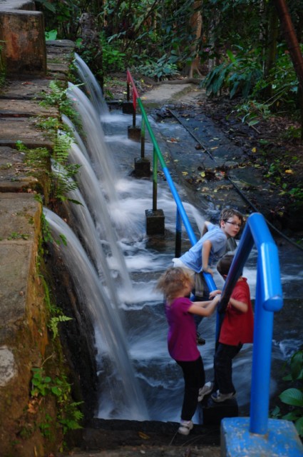 vacancesnoel1 254 [640x480]