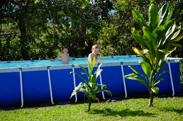 balsaje 238 [640x480]