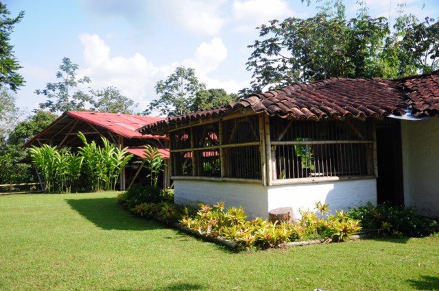 balsaje 252 [640x480]