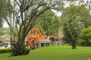 cane a sucre 004 [320x200]