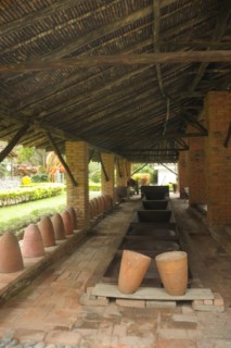 cane a sucre 034 [320x200]