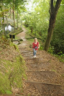 cane a sucre 067 [320x200]