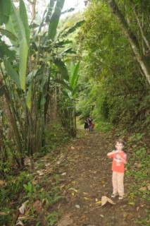 cane a sucre 089 [320x200]