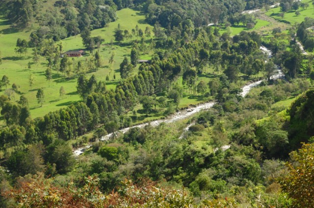 cheval-salento 012 [640x480]