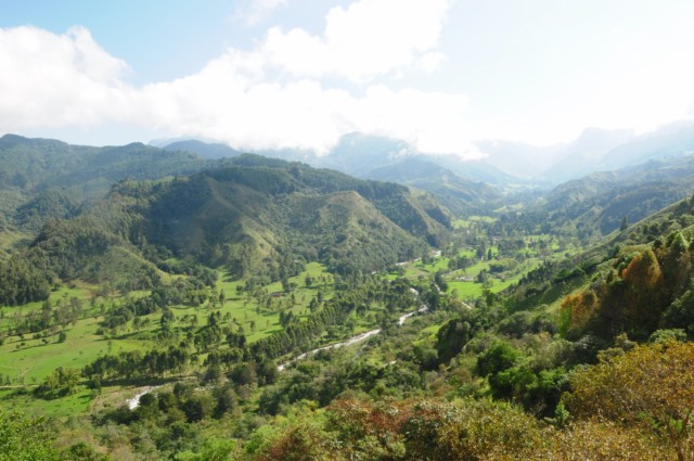 cheval-salento 017 [640x480]