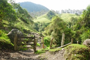 cheval-salento 041 [640x480]