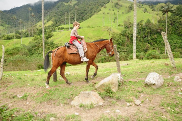 cheval-salento 086 [640x480]