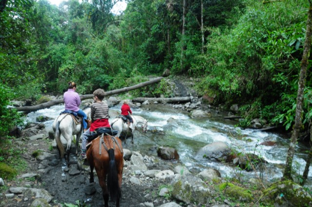 cheval-salento 162 [640x480]