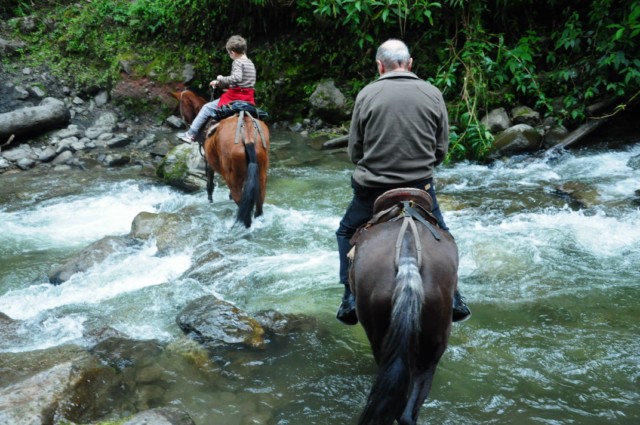 cheval-salento 172 [640x480]