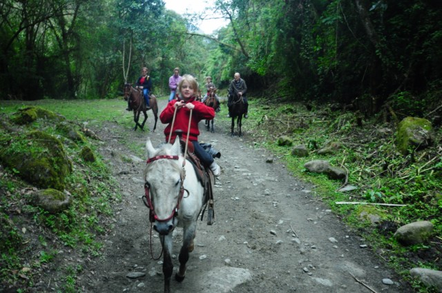 cheval-salento 190 [640x480]
