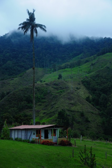 cheval-salento 217 [640x480]