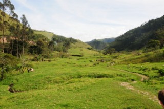 popayan 147 [320x200]