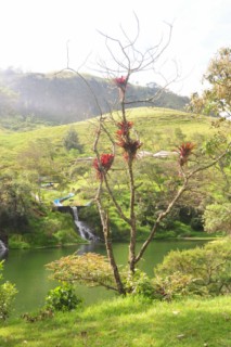 popayan 151 [320x200]