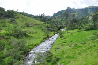 popayan 264 [320x200]
