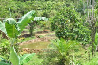 san sypriano 009 [320x200]