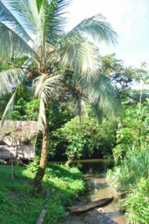 san sypriano 047 [320x200]