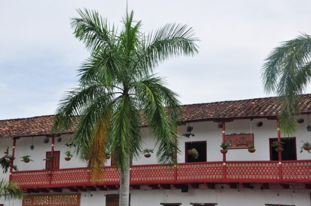 medellin 442