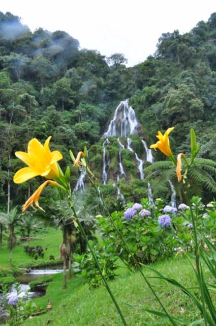 medellin2 260