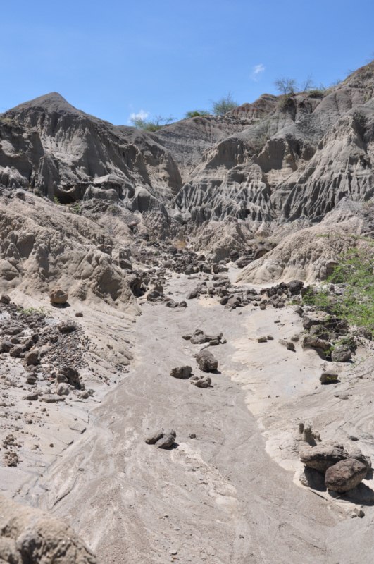 tatacoa_agustin 140 tatacoa_agustin 140