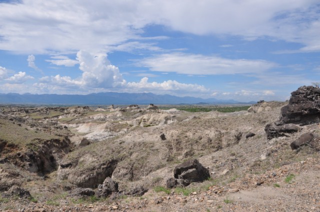 tatacoa_agustin 171 tatacoa_agustin 171