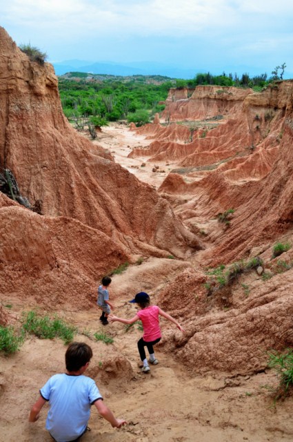 tatacoa_agustin 235 tatacoa_agustin 235