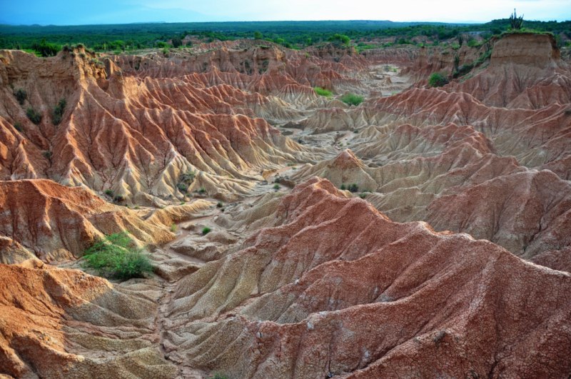 tatacoa_agustin 318 tatacoa_agustin 318