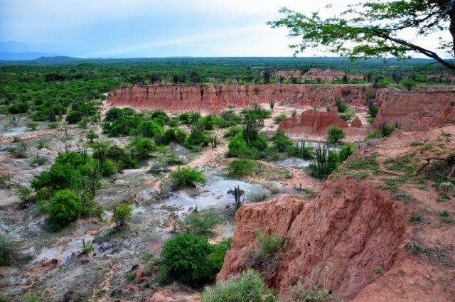 tatacoa_agustin 326 tatacoa_agustin 326