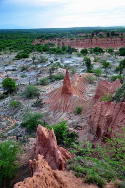 tatacoa_agustin 333 tatacoa_agustin 333