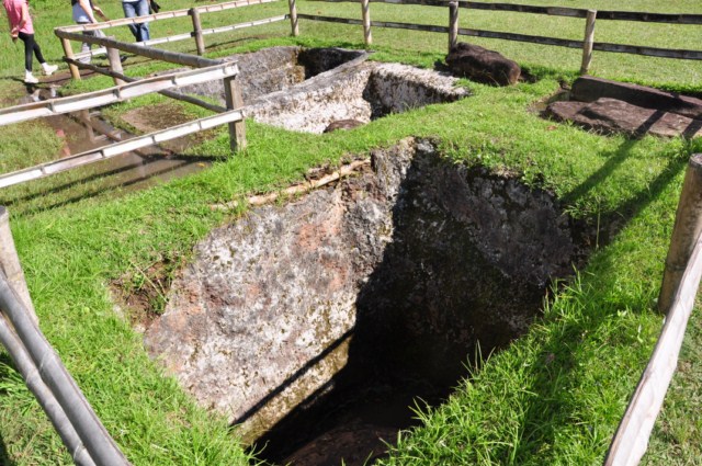 tatacoa_agustin 376 tatacoa_agustin 376