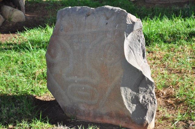 tatacoa_agustin 407 tatacoa_agustin 407