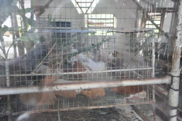 tatacoa_agustin 577 tatacoa_agustin 577