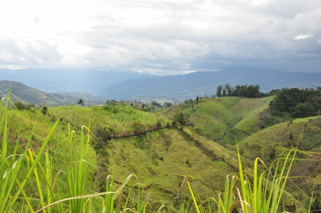 tatacoa_agustin 591 tatacoa_agustin 591