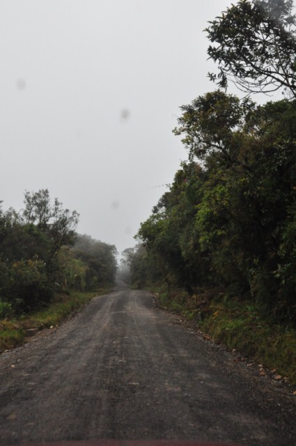 tatacoa_agustin 651 tatacoa_agustin 651