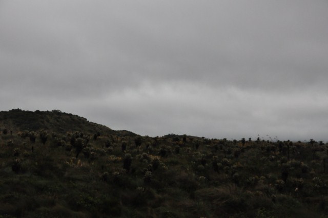 tatacoa_agustin 658 tatacoa_agustin 658