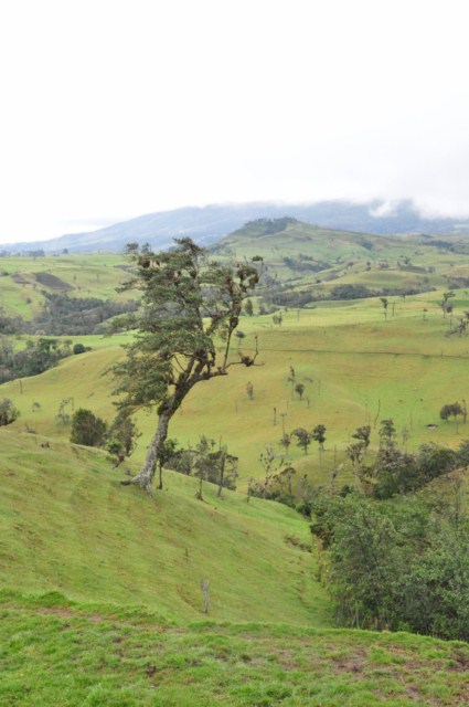 tatacoa_agustin 662 tatacoa_agustin 662