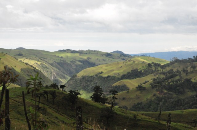 tatacoa_agustin 664 tatacoa_agustin 664