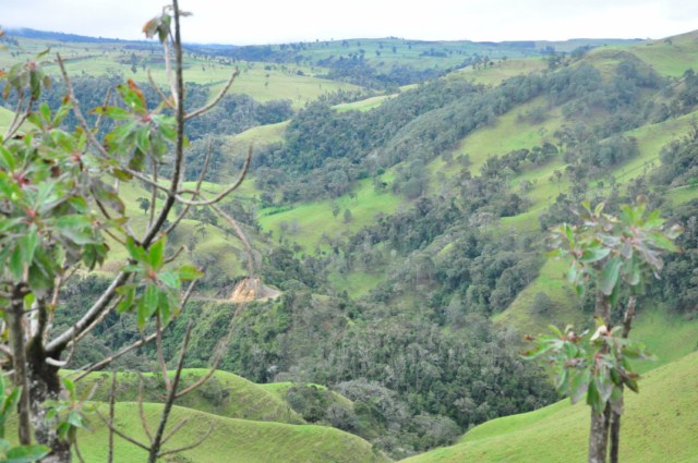 tatacoa_agustin 669 tatacoa_agustin 669