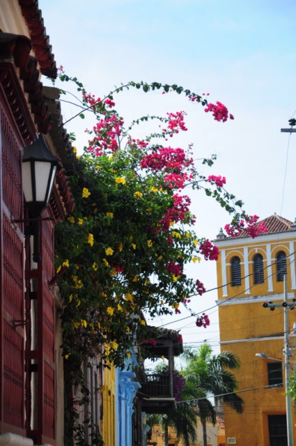 carthagene022012 140