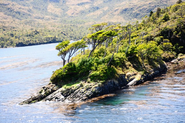 chili6 021 chili6 021