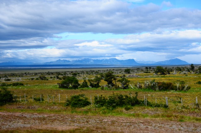 chili6 049 chili6 049