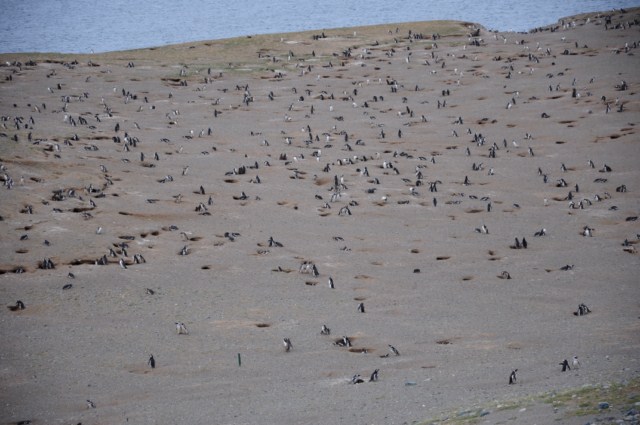 chili6 187 chili6 187