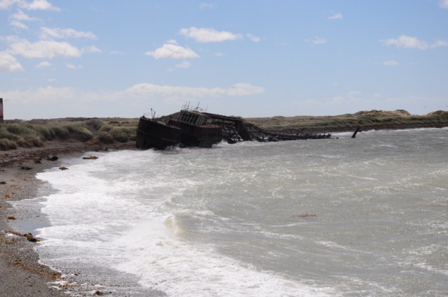 chili8 038 chili8 038