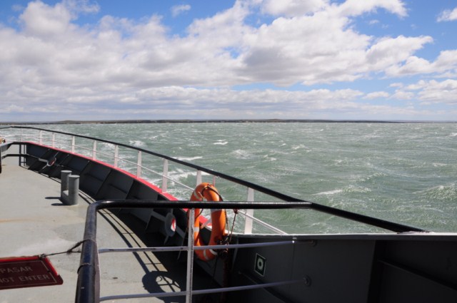 chili8 051 chili8 051