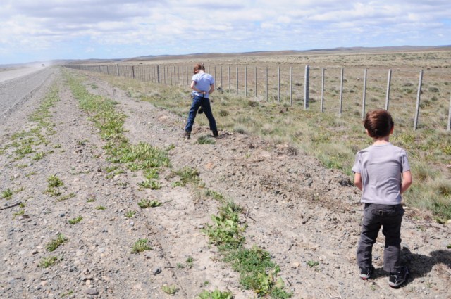 chili8 056 chili8 056