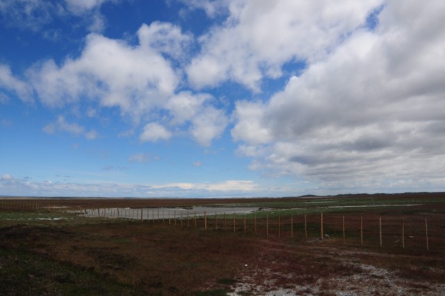 chili8 075 chili8 075