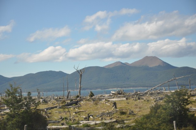 chili8 106 chili8 106