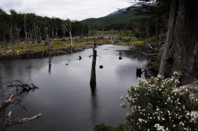 perito moreno 067 perito moreno 067