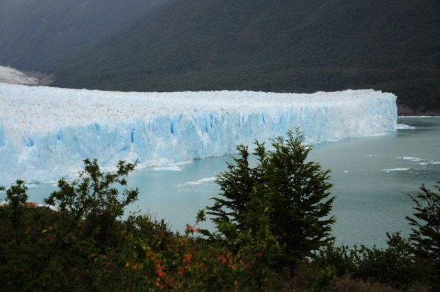 perito moreno 236
